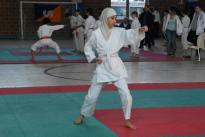 rogeno karate (131)