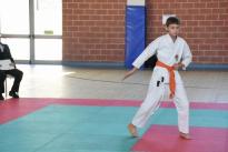 rogeno karate (135)