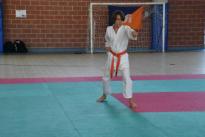 rogeno karate (137)
