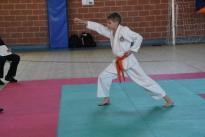 rogeno karate (141)