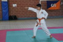 rogeno karate (140)