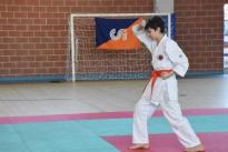 rogeno karate (139)