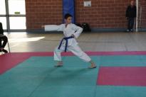 rogeno karate (146)