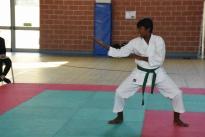 rogeno karate (149)