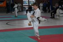 rogeno karate (152)