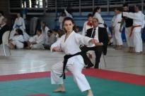 rogeno karate (155)