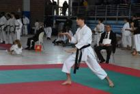 rogeno karate (153)