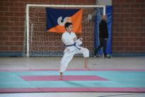 rogeno karate (156)