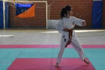 rogeno karate (164)