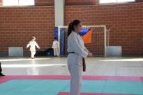 rogeno karate (163)