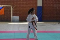 rogeno karate (165)