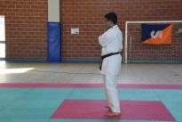 rogeno karate (173)