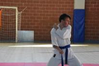 rogeno karate (178)