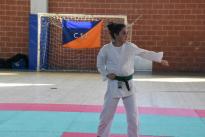 rogeno karate (187)