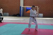 rogeno karate (195)