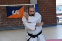 rogeno karate (217)
