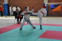 rogeno karate (223)