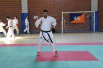 rogeno karate (225)