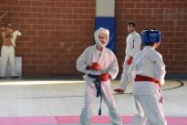 rogeno karate (227)