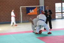 rogeno karate (238)