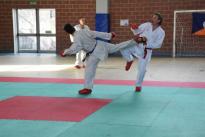 rogeno karate (243)