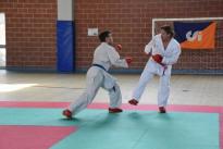 rogeno karate (244)