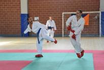 rogeno karate (242)