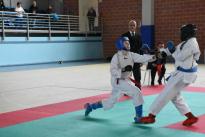 rogeno karate (256)