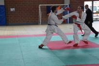 rogeno karate (258)