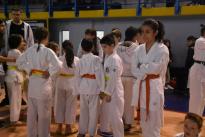 karate regionale (5) (Copia)