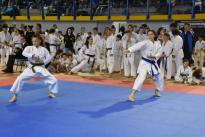 karate regionale (19) (Copia)