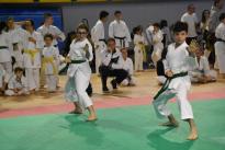 karate regionale (21) (Copia)