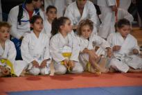karate regionale (49) (Copia)