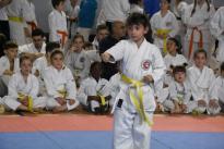 karate regionale (50) (Copia)