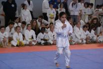 karate regionale (54) (Copia)