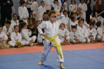 karate regionale (52) (Copia)