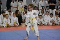 karate regionale (56) (Copia)