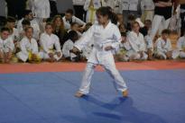 karate regionale (55) (Copia)