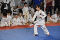 karate regionale (59) (Copia)