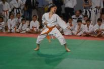 karate regionale (65) (Copia)