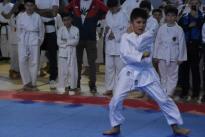 karate regionale (69) (Copia)