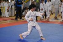karate regionale (67) (Copia)