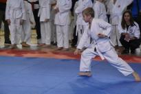 karate regionale (71) (Copia)