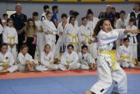 karate regionale (84) (Copia)