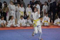 karate regionale (86) (Copia)