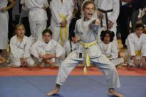 karate regionale (89) (Copia)