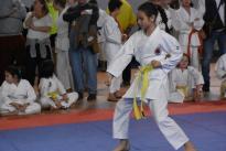 karate regionale (91) (Copia)
