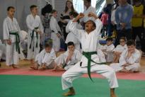karate regionale (99) (Copia)