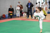 karate regionale (102) (Copia)