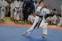 karate regionale (108) (Copia)